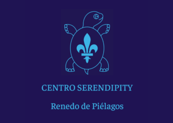 ACADEMIA DE INGLÉS EN CANTABRIA