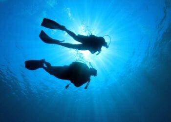 Cursos de buceo Dénia