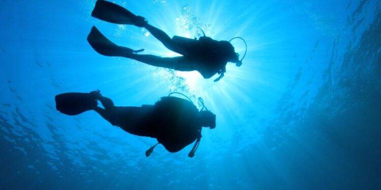 Cursos de buceo Dénia