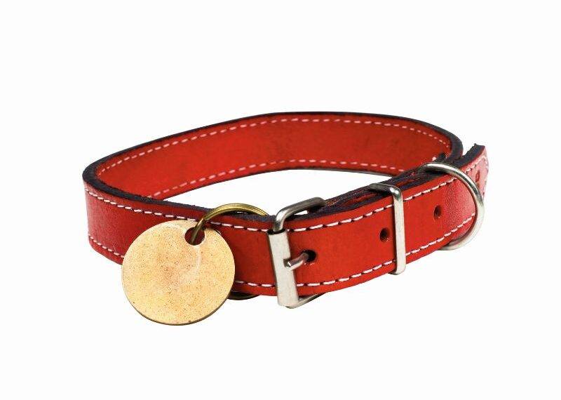 Collares para perros Ciudad Real